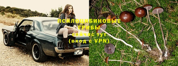 альфа пвп Богданович