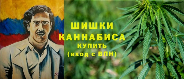 дмт Богородск