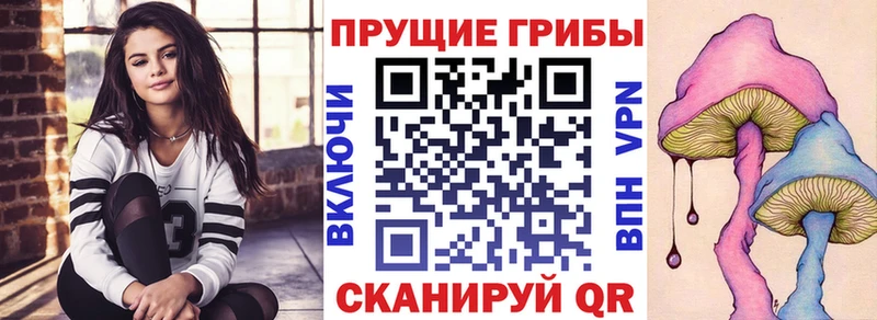 Псилоцибиновые грибы Magic Shrooms  Киренск 